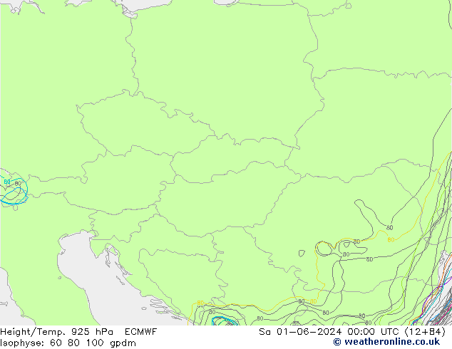 Height/Temp. 925 hPa ECMWF Sa 01.06.2024 00 UTC