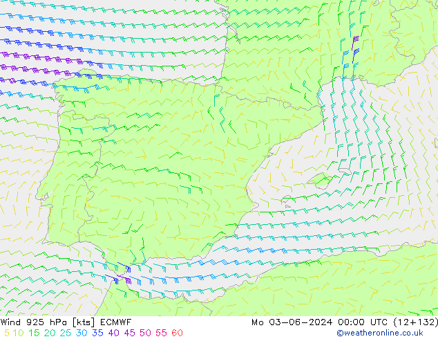 Vento 925 hPa ECMWF lun 03.06.2024 00 UTC