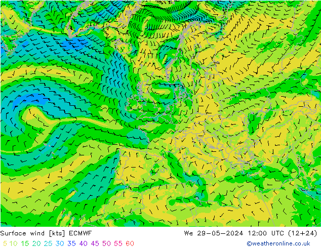 Wind 10 m ECMWF wo 29.05.2024 12 UTC