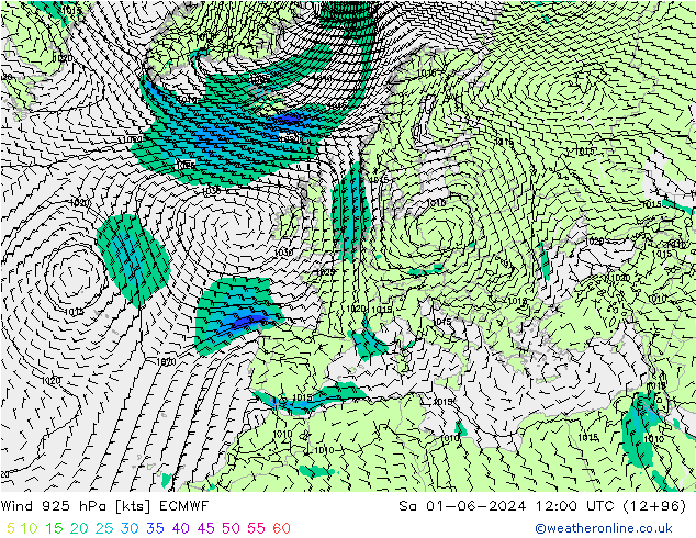 Wind 925 hPa ECMWF So 01.06.2024 12 UTC