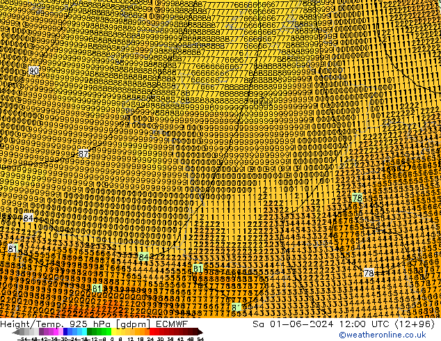 Height/Temp. 925 гПа ECMWF сб 01.06.2024 12 UTC