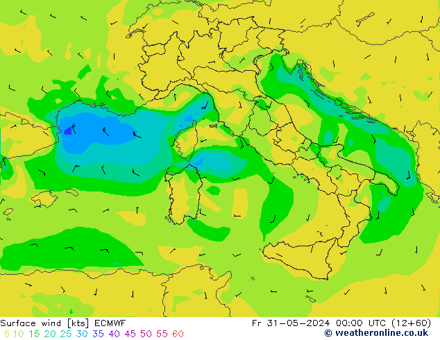  10 m ECMWF  31.05.2024 00 UTC