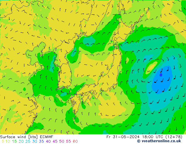 Surface wind ECMWF Pá 31.05.2024 18 UTC