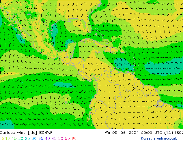 Surface wind ECMWF We 05.06.2024 00 UTC