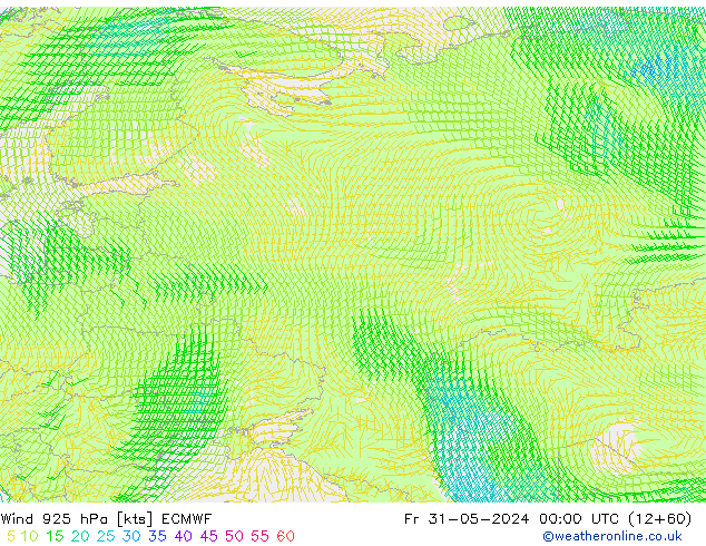 Vento 925 hPa ECMWF ven 31.05.2024 00 UTC