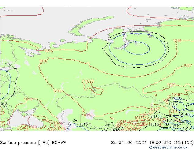 Surface pressure ECMWF Sa 01.06.2024 18 UTC