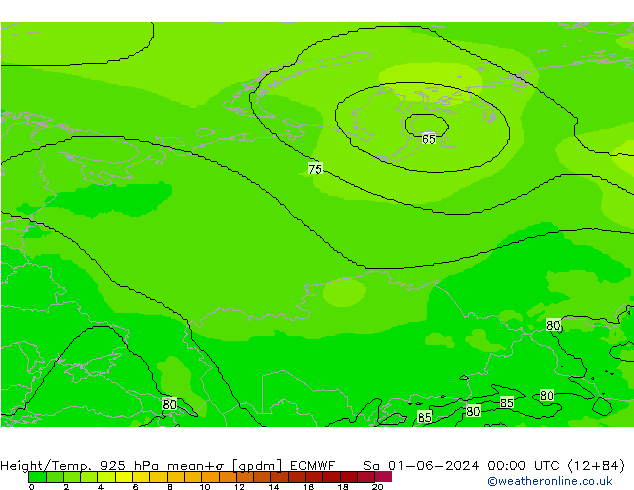 Hoogte/Temp. 925 hPa ECMWF za 01.06.2024 00 UTC
