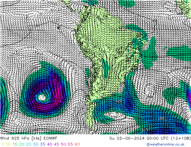 Vento 925 hPa ECMWF dom 02.06.2024 00 UTC