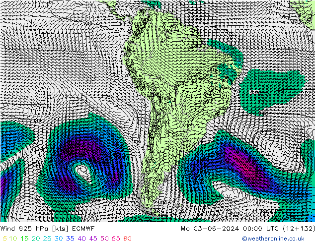 Rüzgar 925 hPa ECMWF Pzt 03.06.2024 00 UTC