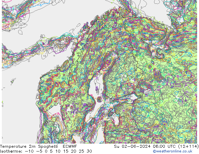 карта температуры Spaghetti ECMWF Вс 02.06.2024 06 UTC