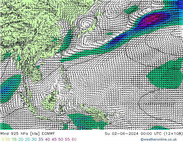 Vento 925 hPa ECMWF dom 02.06.2024 00 UTC