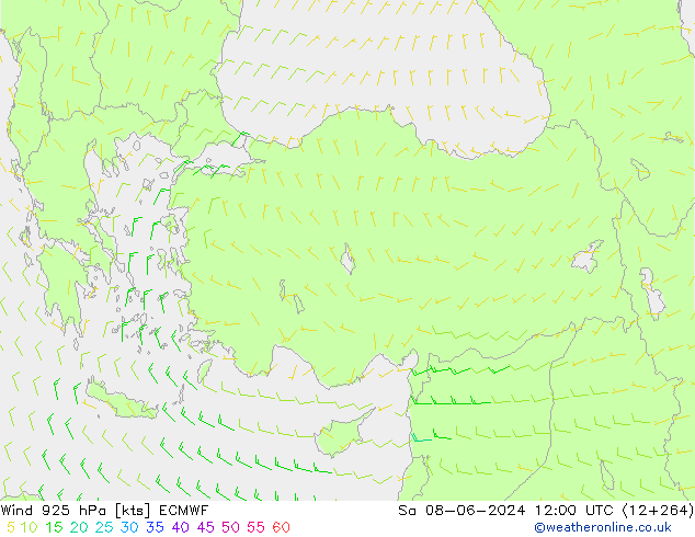Wind 925 hPa ECMWF za 08.06.2024 12 UTC