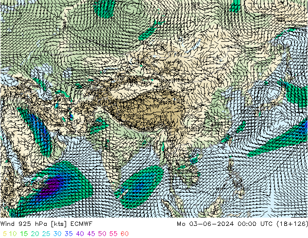 wiatr 925 hPa ECMWF pon. 03.06.2024 00 UTC