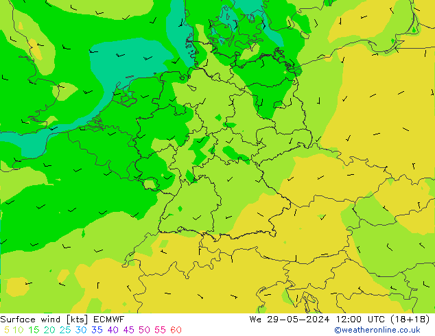 ветер 10 m ECMWF ср 29.05.2024 12 UTC