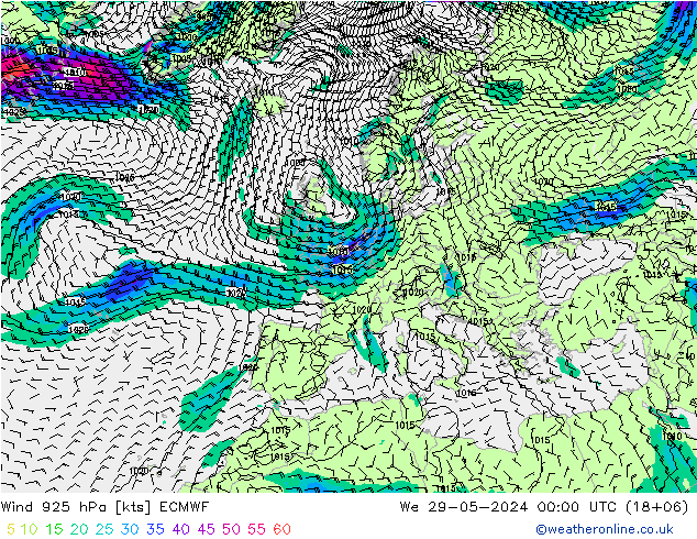 ветер 925 гПа ECMWF ср 29.05.2024 00 UTC