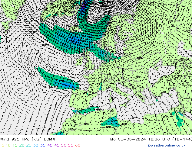 Rüzgar 925 hPa ECMWF Pzt 03.06.2024 18 UTC