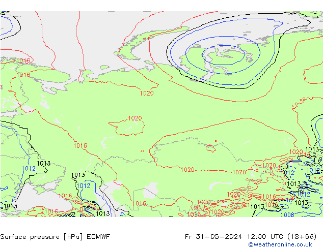 Presión superficial ECMWF vie 31.05.2024 12 UTC