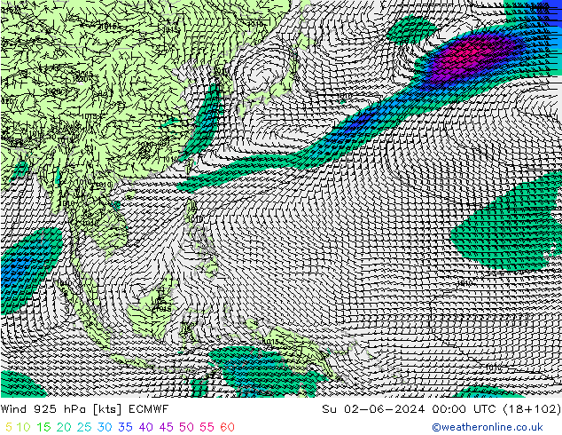 Vento 925 hPa ECMWF dom 02.06.2024 00 UTC