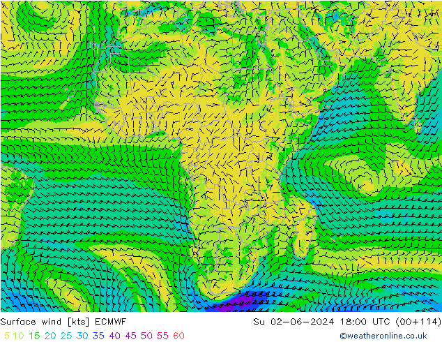 Surface wind ECMWF Su 02.06.2024 18 UTC