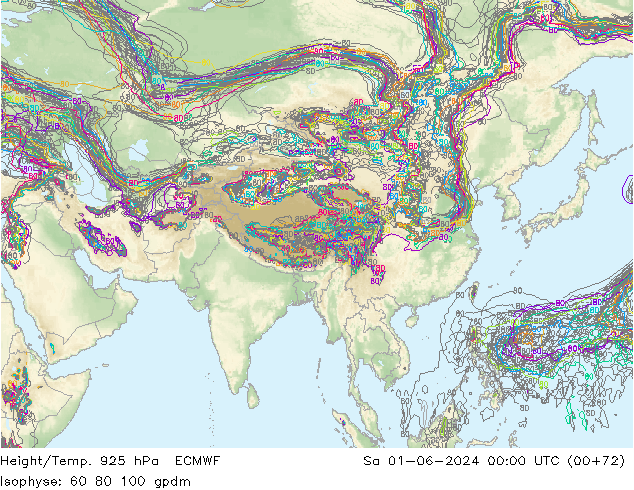 Height/Temp. 925 hPa ECMWF  01.06.2024 00 UTC