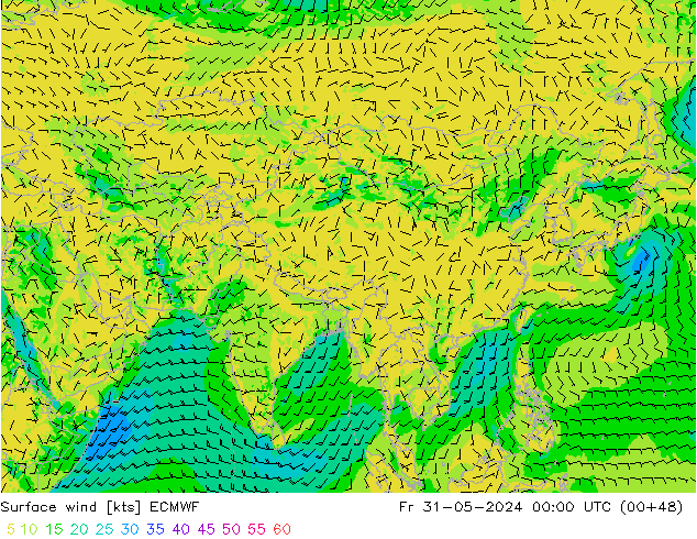 Surface wind ECMWF Fr 31.05.2024 00 UTC