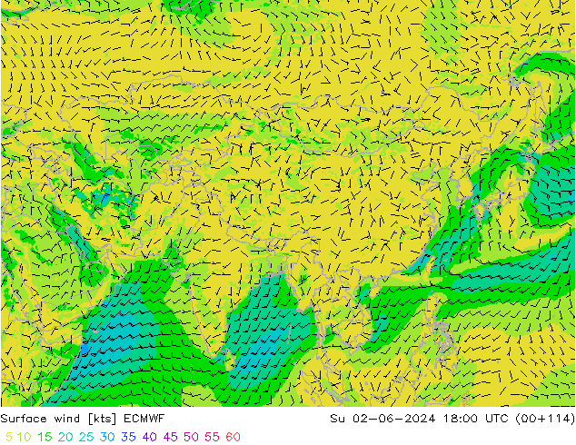 Rüzgar 10 m ECMWF Paz 02.06.2024 18 UTC