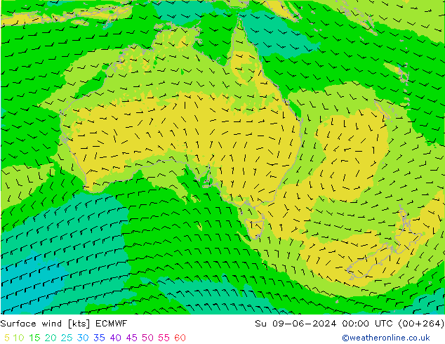 Rüzgar 10 m ECMWF Paz 09.06.2024 00 UTC