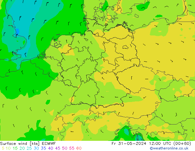 Surface wind ECMWF Fr 31.05.2024 12 UTC