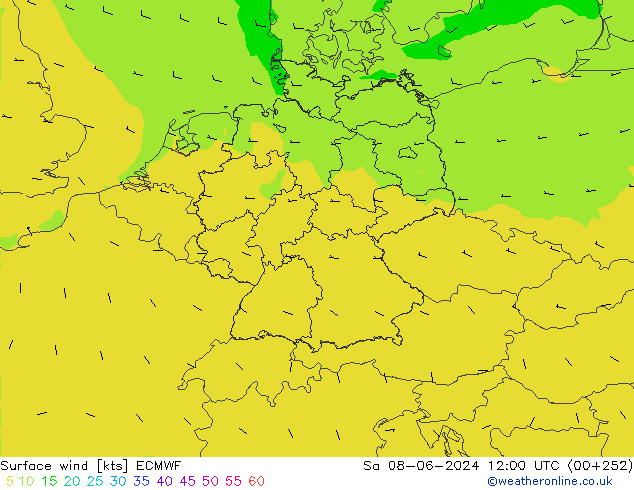 Rüzgar 10 m ECMWF Cts 08.06.2024 12 UTC