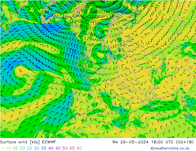 风 10 米 ECMWF 星期三 29.05.2024 18 UTC