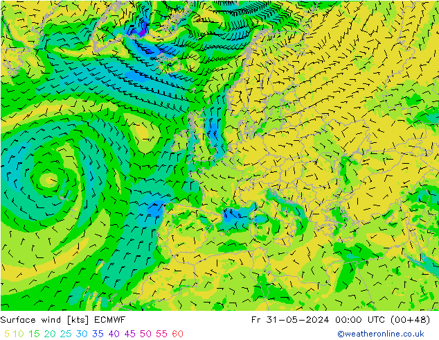 Bodenwind ECMWF Fr 31.05.2024 00 UTC