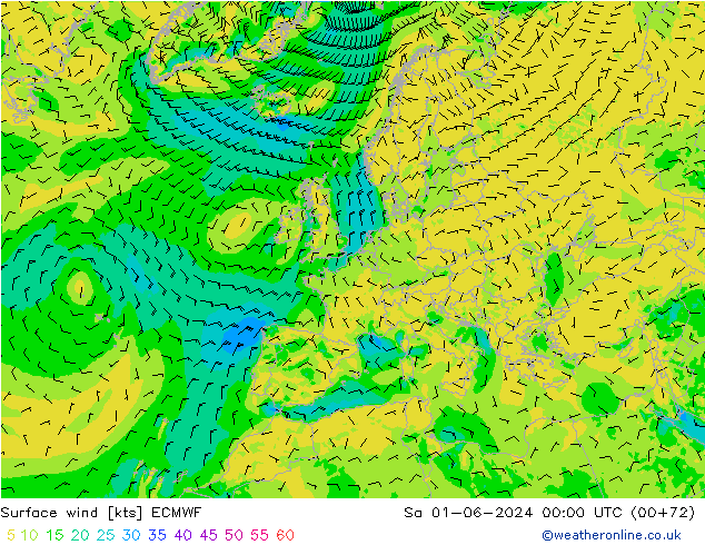 Vento 10 m ECMWF Sáb 01.06.2024 00 UTC