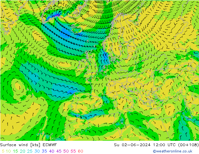 Wind 10 m ECMWF zo 02.06.2024 12 UTC