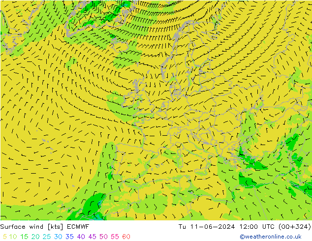 Surface wind ECMWF Tu 11.06.2024 12 UTC