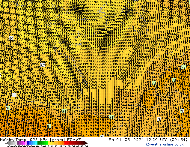 Géop./Temp. 925 hPa ECMWF sam 01.06.2024 12 UTC