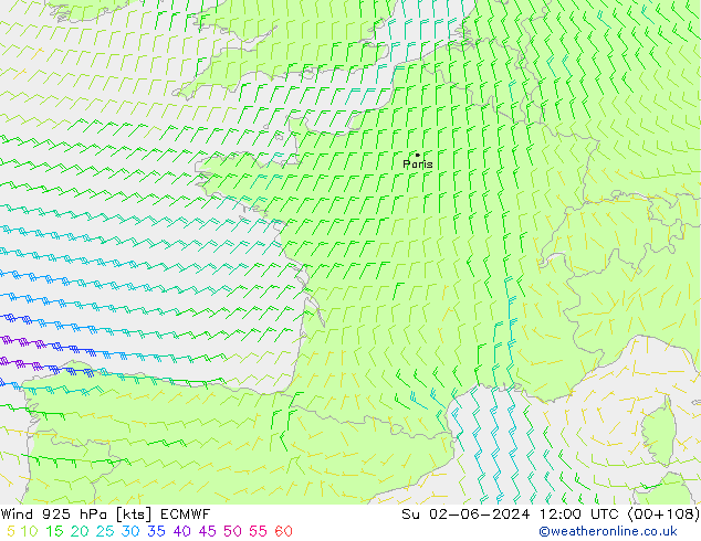 Rüzgar 925 hPa ECMWF Paz 02.06.2024 12 UTC