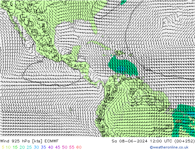 Wind 925 hPa ECMWF So 08.06.2024 12 UTC