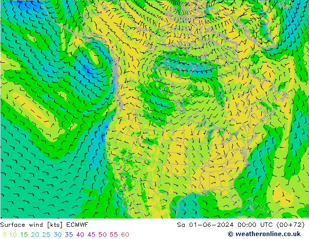 Surface wind ECMWF Sa 01.06.2024 00 UTC