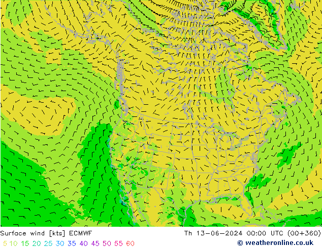 Wind 10 m ECMWF do 13.06.2024 00 UTC