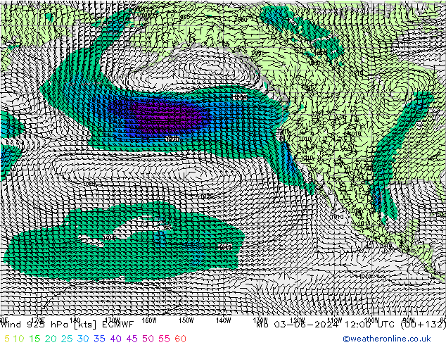 Vento 925 hPa ECMWF Seg 03.06.2024 12 UTC