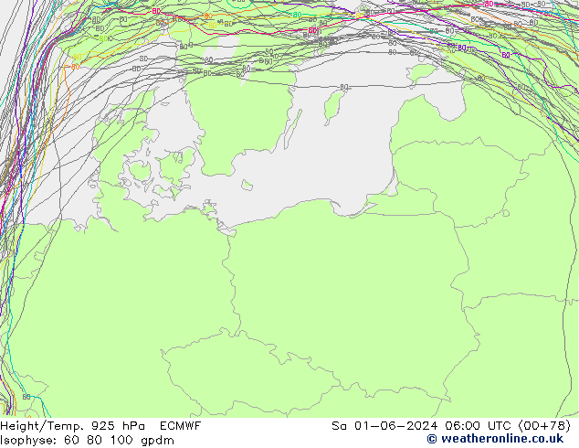 Height/Temp. 925 hPa ECMWF Sa 01.06.2024 06 UTC