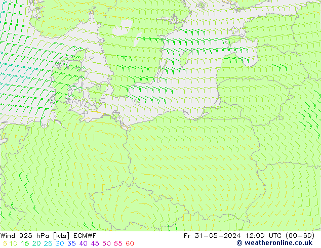  Fr 31.05.2024 12 UTC