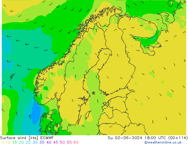  10 m ECMWF  02.06.2024 18 UTC