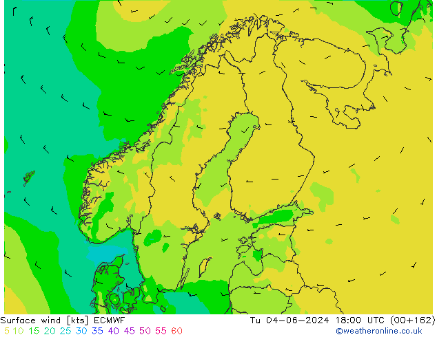 Vento 10 m ECMWF Ter 04.06.2024 18 UTC