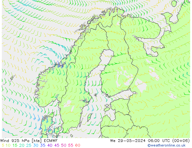  925 hPa ECMWF  29.05.2024 06 UTC