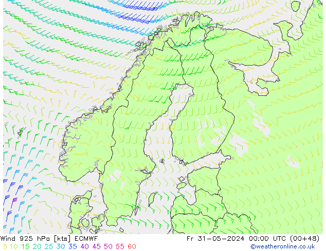 Wind 925 hPa ECMWF Fr 31.05.2024 00 UTC