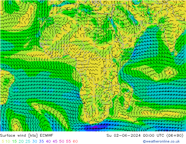 ветер 10 m ECMWF Вс 02.06.2024 00 UTC