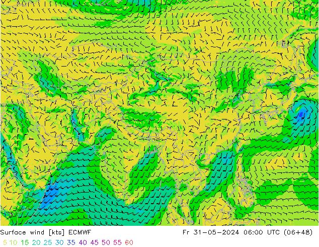 Vento 10 m ECMWF ven 31.05.2024 06 UTC