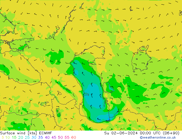 Surface wind ECMWF Su 02.06.2024 00 UTC