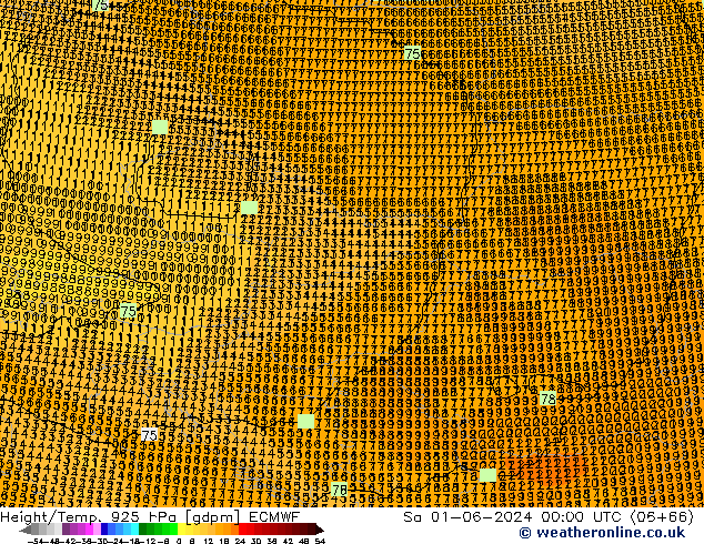 Height/Temp. 925 hPa ECMWF Sa 01.06.2024 00 UTC